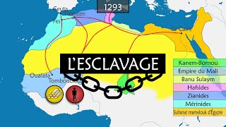 Lhistoire de lesclavage  Résumé sur cartes [upl. by Lefty732]