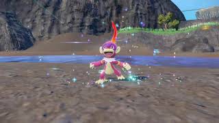 Shiny Chimchar Monferno and Infernape 22062024 Road to living Indigo Disk SHINY DEX 044173 [upl. by Yeaton575]