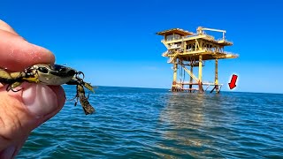 I Tossed This FAKE CRAB on an Offshore Oil Rig and Caught My Dinner [upl. by Peckham]