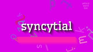 SYNCYTIAL  HOW TO PRONOUNCE SYNCYTIAL syncytial [upl. by Borlow392]