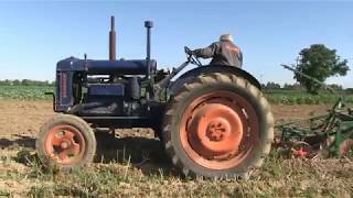 FORDSON MAJOR LIFTING POTATOES [upl. by Ettelorahc670]