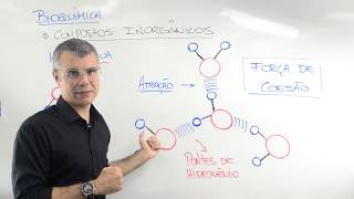 ÁGUA  COMPOSTOS INORGÂNICOS  BIOQUÍMICA  Prof Baraúna [upl. by Atlas301]