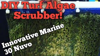 DIY Algae Turf Scrubber [upl. by Anerat459]