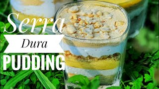 SerraDura Pudding‼️  Sawdust pudding Foodie Sha one minute recipe Easy Dessert [upl. by Hazlett172]