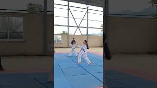 poomsae 5  Tae geuk Oh jang Taekwondo🥋 [upl. by Hpsoj]