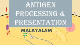 ANTIGEN PROCESSING AND PRESENTATION  MALAYALAM [upl. by Alludba]