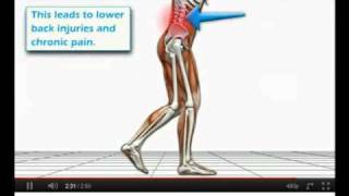 Animated LE Biomechanics Video The Foot Mechanicavi [upl. by Altis605]