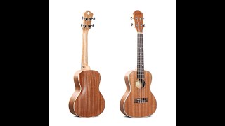 Deviser Ukulele UK2430 [upl. by Lucias]