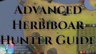 OSRS Advanced Herbiboar Hunter Guide  Fossil Island [upl. by Salohcin]