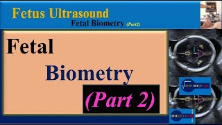 Fetus Ultrasound Fetal Biometry  Part2 [upl. by Noyk231]