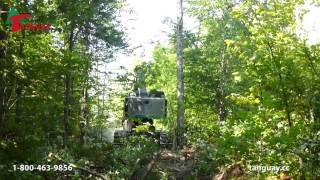 Abatteuse Timberpro TL735B Feller Buncher Machinerie Tanguay [upl. by Gerbold263]