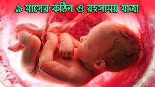 মানব শিশুর জন্মের অজানা ও রহস্যময় ইতিহাস জানলে আপনি অবাক হবেন  An Incredible Journey of Life [upl. by Valerio]