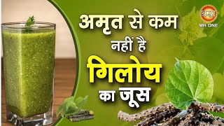 Giloy Ke Juice Ke Fayde  Giloy Juice Benefits  Giloy Ke Fayde  Tinospora Cordifolia  Health Tips [upl. by Kinson557]