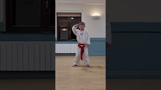 STAR BLOCK DRILL NO 2 martialarts karate [upl. by Banky]