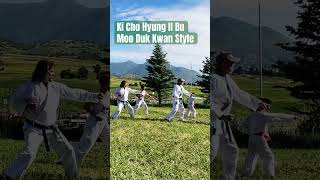 Ki Cho Hyung Il Bu  first form in Tang Soo Do and Soo Bahk Do moodukkwan kata karate kihon [upl. by Naihtniroc430]