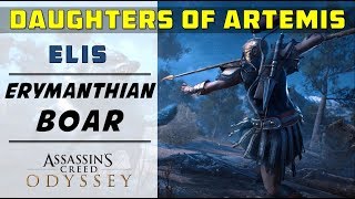 Find amp Hunt the Erymanthian Boar Elis  Daughters of Artemis Quest  ASSASSINS CREED ODYSSEY [upl. by Kho]