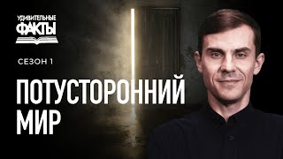 Действительно ли мёртвые мертвы Что происходит после смерти  Удивительные факты 1 сезон 1025 [upl. by Cheyney61]