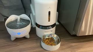 PETLIBRO Automatic Cat Feeder Review  Feed with Ease [upl. by Che]