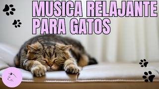 Música RELAJANTE para tus GATOS [upl. by Aeresed]