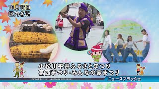 第45回 小松川平井ふるさとまつり・第48回 葛西まつり・第30回 みんなの家まつり [upl. by Bega43]