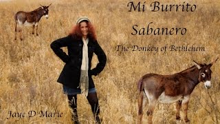 Mi Burrito Sabanero  Jaye D Marie [upl. by Atteyram]