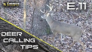 Deer Calling Tips  E11 quotTrailing Gruntsquot [upl. by Narruc187]