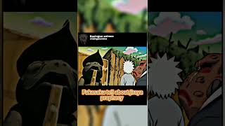 Fukasaku tell about jiraya prophecy 😳😳 shortvideo shorts  jiraya narutoshippuden [upl. by Schwarz]