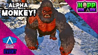 UNLOCK EVERYTHING ARK Winter Wonderland Ultimate Guide  ARK Survival Ascended [upl. by Gosselin]