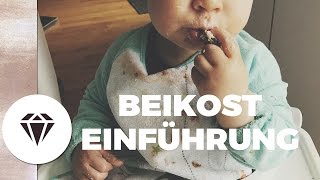 Unsere BEIKOSTEINFÜHRUNG I 17 Wochen bis 1 Jahr I Rund um´s Baby by Nela Lee ad [upl. by Sida]