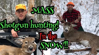 Massachusetts Shotgun hunting IN THE SNOW 2019 [upl. by Emlynne]