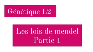 Génétique L2  les conséquences de la méiose chez les diploides  lois de mendel  partie 1 [upl. by Aid]