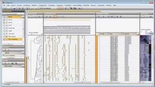 Combined analysis of fingerprint data BioNumerics 7 [upl. by Ondrej]