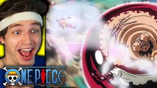 NEW GEAR 4TH FORM one piece reaction [upl. by Niwrek]