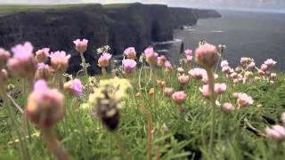 Acantilados de Moher  Irlanda [upl. by Stoffel120]