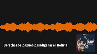 DERECHOS DE LOS PUEBLOS INDÍGENAS EN BOLIVIA [upl. by Kentiga]