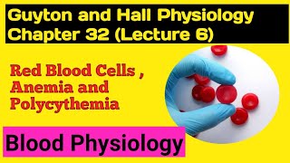 Chapter 32 Lecture 6 Role of the Kidneys in Formation of Erythropoietin Guyton and Hall CHP 32 [upl. by Welton480]