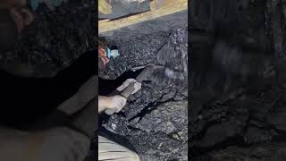 Underground Coal Mining ⛏️  Mines  Coal  Miners miners coalmining mining mines miningindustr [upl. by Ddahc]