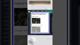 𝐂𝐬𝐬 𝐓𝐫𝐚𝐧𝐬𝐩𝐚𝐫𝐞𝐧𝐭 𝐈𝐦𝐚𝐠𝐞  transparency image css3 padding html style css Educationslearning [upl. by Cecilia88]