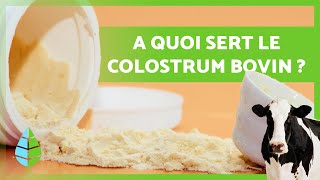 12 BIENFAITS du COLOSTRUM BOVIN 🥛🐮 A quoi sertil et comment en consommer [upl. by Rozanna684]