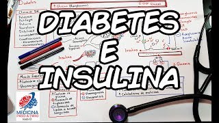 Fisiología Diabetes e Insulina Generalidades [upl. by Amadeus]