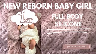 Meet My New Reborn Silicone Baby reborn reborndoll [upl. by Iddo]