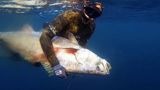 Spearfishing for Mulloway  Jew fish on offshore reefs and pinnacles [upl. by Karola]