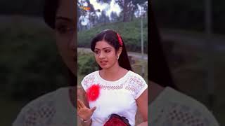 Kamal Haasan Cheating Sridevi Catch Kamal Haasan Red Handed😂Love Scene ❤  Vaazhvey Maayam shorts [upl. by Dennett]