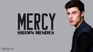 Shawn Mendes  mercy lyrics [upl. by Carrick]