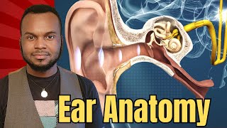 Ear Anatomy EXPLAINED in 3 Minutes [upl. by Reiss]