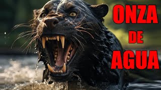 Onza de agua  Felinos gigantes de Brasil  Criptozoología [upl. by Midas]