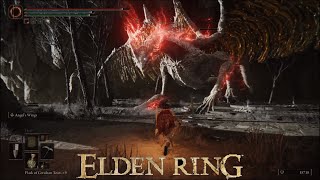 Dragons  Elden Ring [upl. by Anelrac]