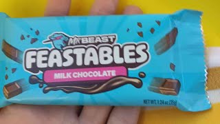 Feastables chocolate review [upl. by Alitha]