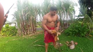 Cooking Sustainably Umu Samoan Style COM 344 Final Class Project [upl. by Deny662]