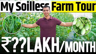 REVEALED Hydroponics में Beans Brinjal Cucumber amp Cherry Tomato  Agritalk By Abhinav Roy [upl. by Ynobe568]